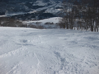 IMG_3687.jpg