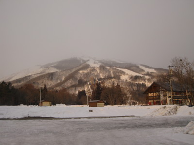 IMG_3696.jpg