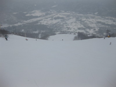 IMG_3698.jpg