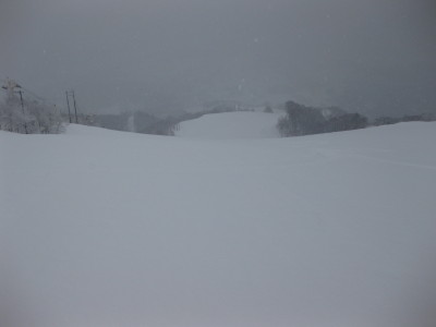 IMG_3705.jpg