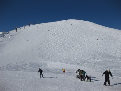 IMG_3731.jpg