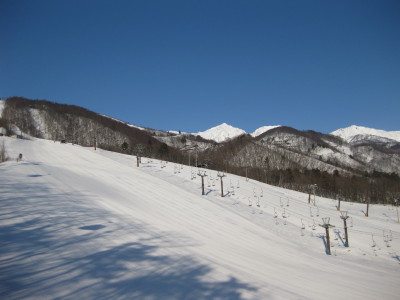 IMG_3754.jpg