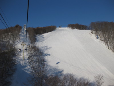 IMG_3755.jpg