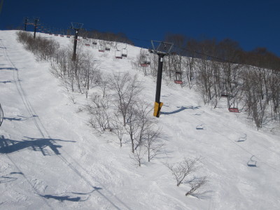 IMG_3761.jpg