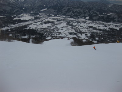 IMG_3772.jpg