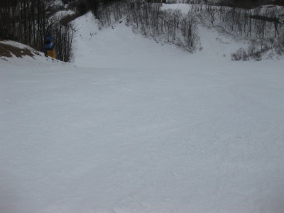 IMG_3776.jpg