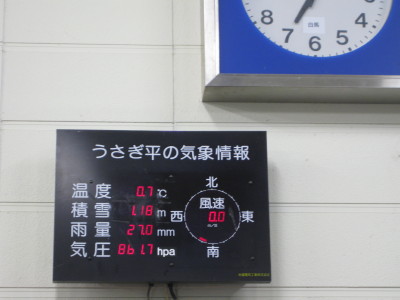 IMG_3782.jpg