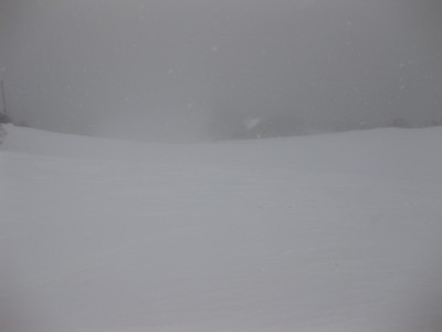 IMG_3789.jpg