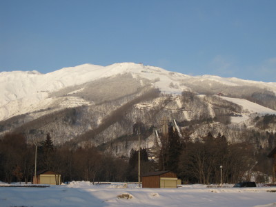 IMG_3852.jpg
