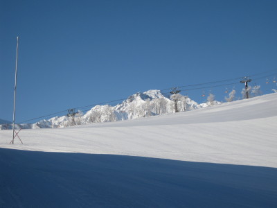 IMG_3855.jpg