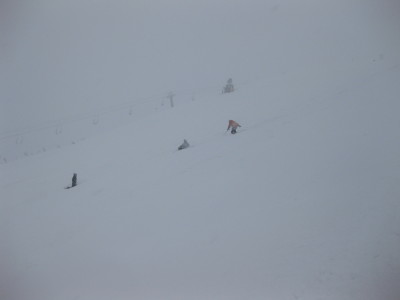 IMG_3923.jpg