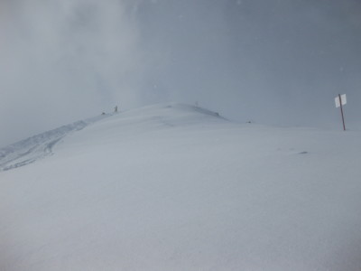 IMG_3939.jpg