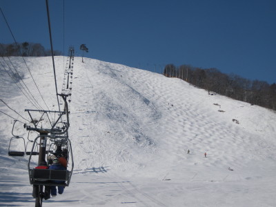 IMG_3966.jpg