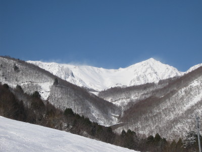 IMG_3967.jpg