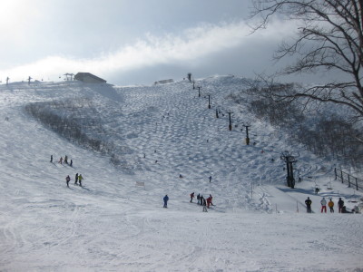 IMG_3969.jpg