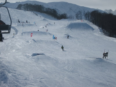 IMG_3973.jpg