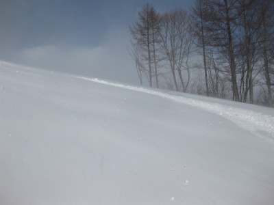 IMG_4004.jpg