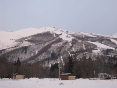 IMG_4008.jpg