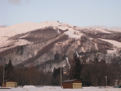 IMG_4016.jpg