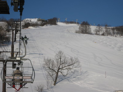 IMG_4023.jpg