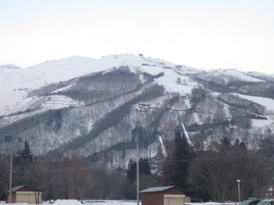 IMG_4026.jpg