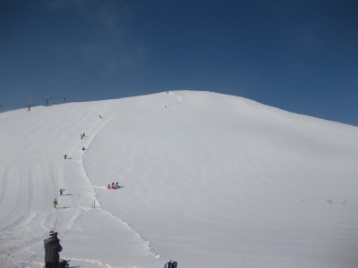 IMG_4068.jpg