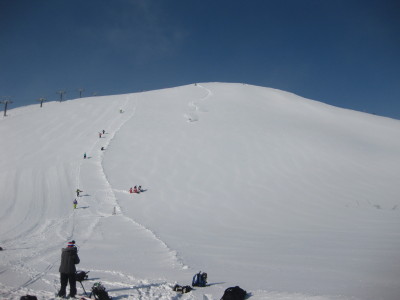 IMG_4070.jpg