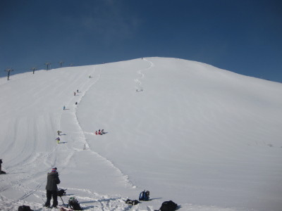 IMG_4071.jpg