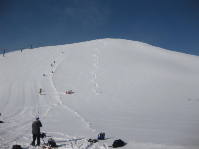 IMG_4075.jpg