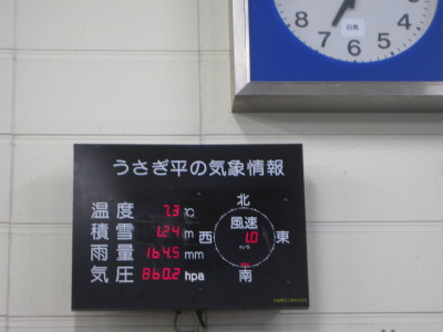 IMG_4126.jpg