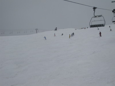 IMG_4135.jpg