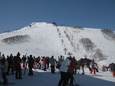 IMG_4161.jpg