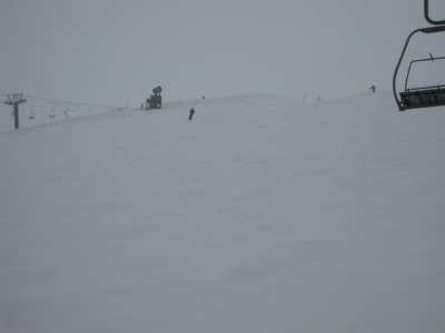 IMG_4176.jpg
