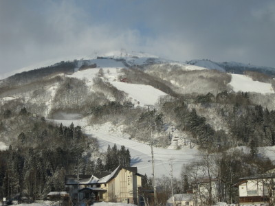IMG_4220.jpg