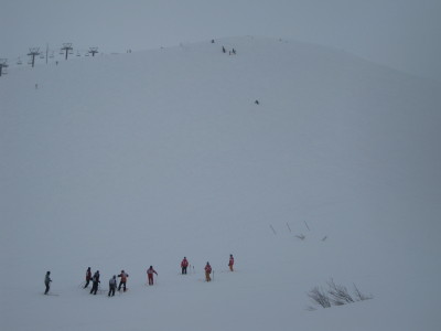 IMG_4296.jpg