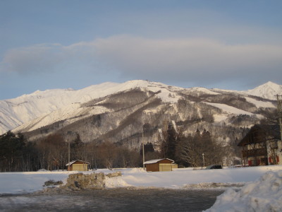 IMG_4334.jpg