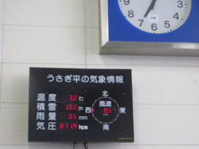 IMG_4337.jpg