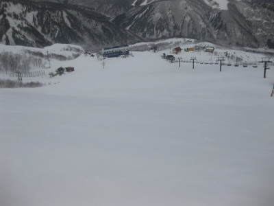 IMG_4358_1.jpg