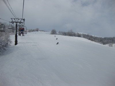 IMG_4390.jpg
