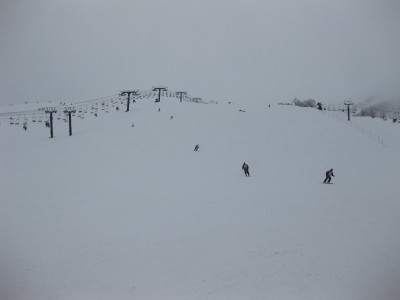 IMG_4399.jpg