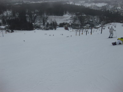 IMG_4429.jpg