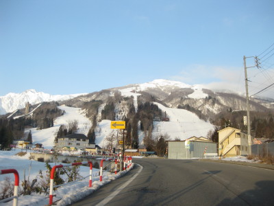 IMG_4454.jpg
