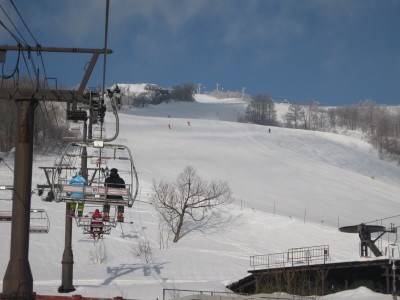 IMG_4461.jpg