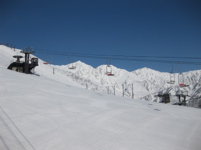 IMG_4467.jpg