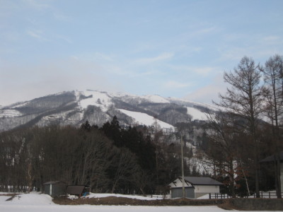 IMG_4474.jpg