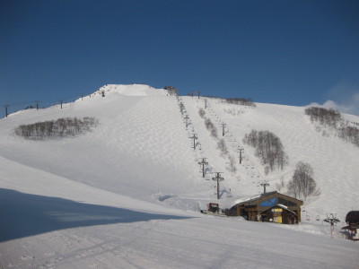 IMG_4477.jpg