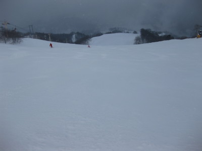IMG_4503_1.jpg