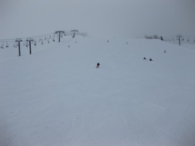 IMG_4515.jpg
