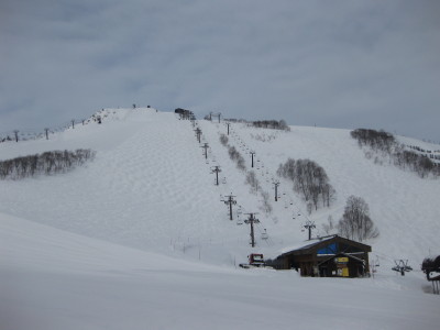 IMG_4520_1.jpg