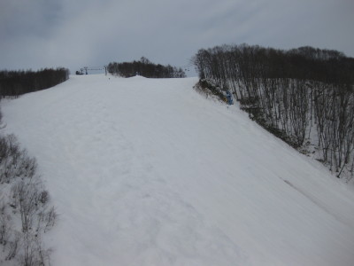 IMG_4524.jpg